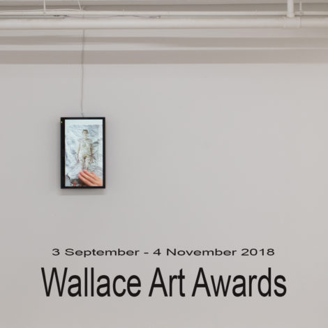 Wallace Art Awards